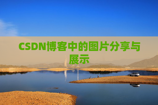 CSDN博客中的图片分享与展示